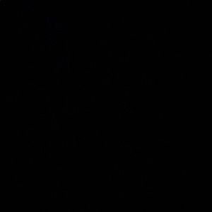 Meet your Posher, Alyse